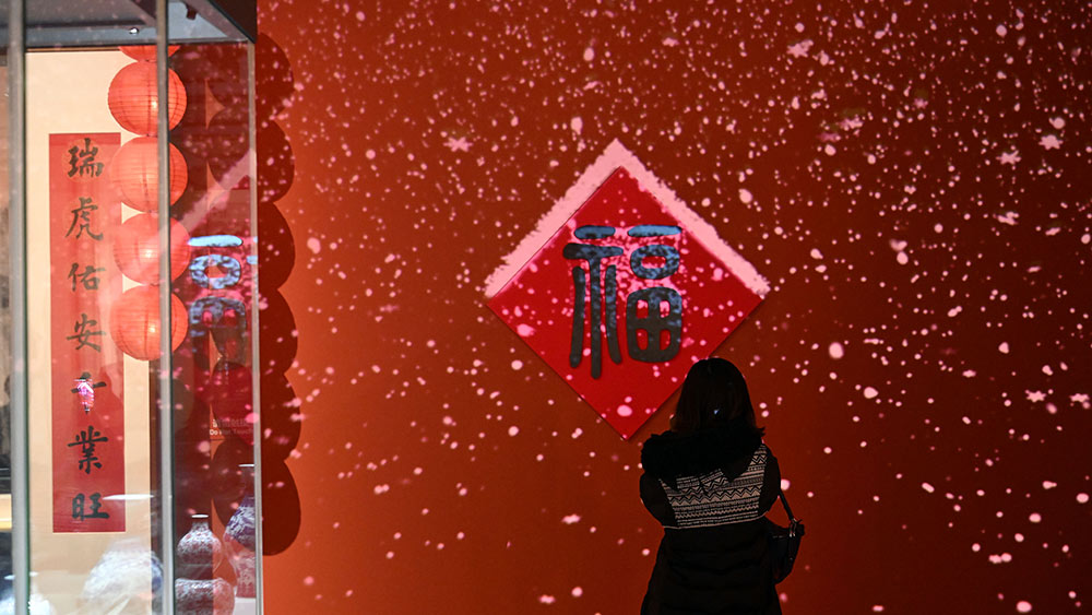 افتتاح معرض "تميمة النمر" في بكين بمناسبة اقتراب عام النمر